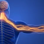 درگیری عصب گردنی (Cervical Radiculopathy) — علائم، علل و درمان