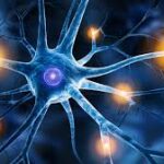 درد نوروپاتیک (Neuropathic Pain)؛ علل، علائم و درمان
